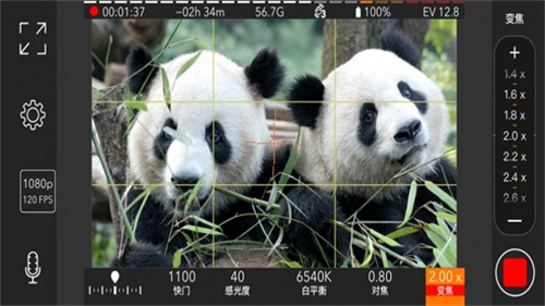 ProMovie专业摄像机 免费图1