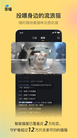 哈啰街猫 无广告版图1