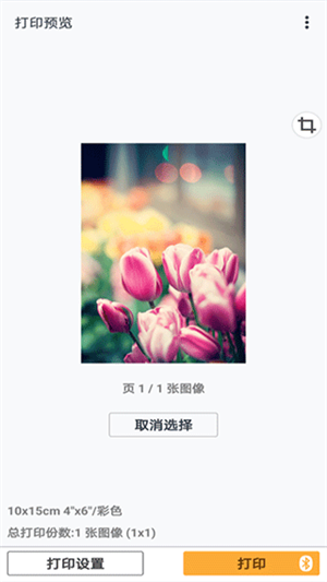 佳能打印软件免费版(2)
