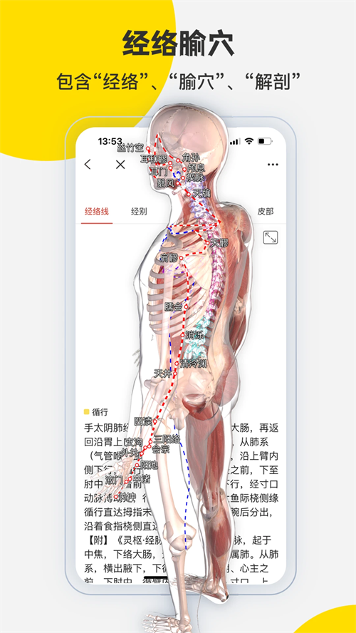 3Dbody正版(3)
