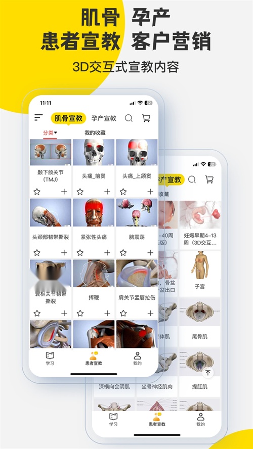 3Dbody正版(1)