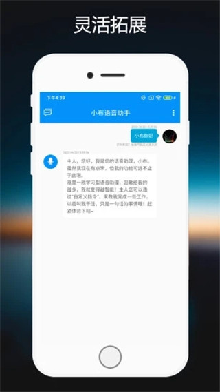 小布助手(2)