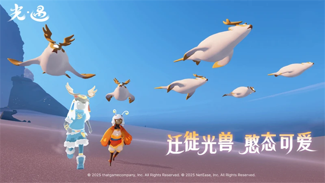 光遇小米渠道服安卓版