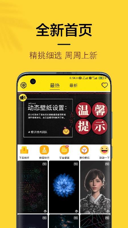 橙子4D动态壁纸图4