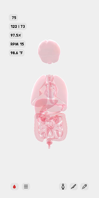 生命life游戏正版