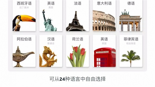 罗塞塔石碑(Rosetta Stone)直装版图1