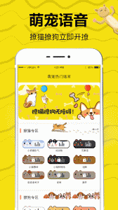 猫语翻译(2)