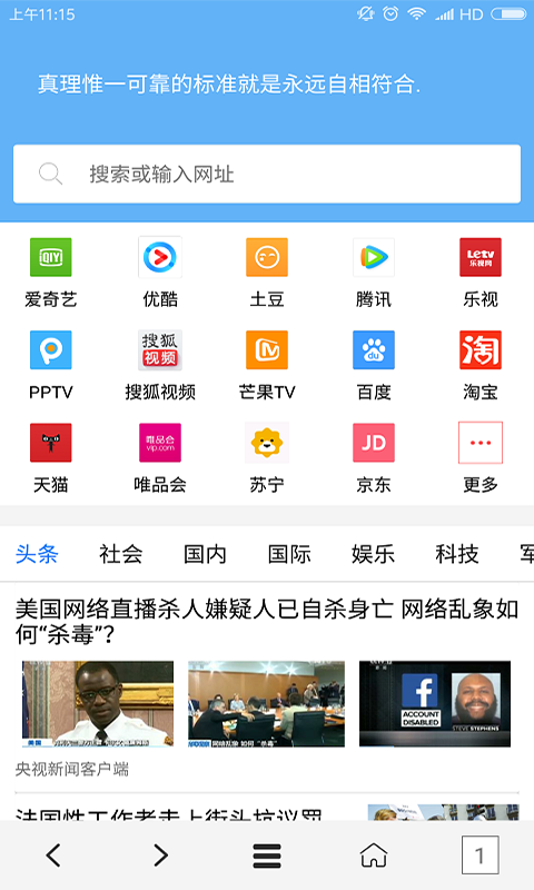 VIP浏览器图1