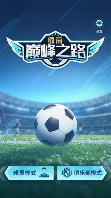 绿茵巅峰之路(1)