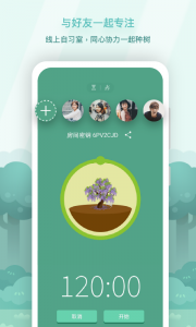 forest图5
