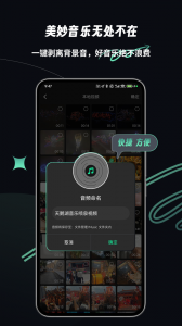 乐剪音频正版图5