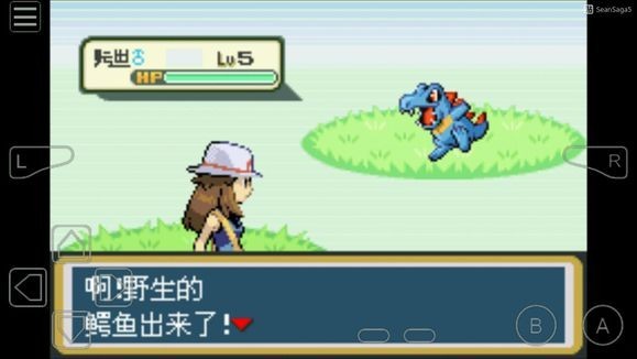 口袋妖怪叶绿金手指版(1)