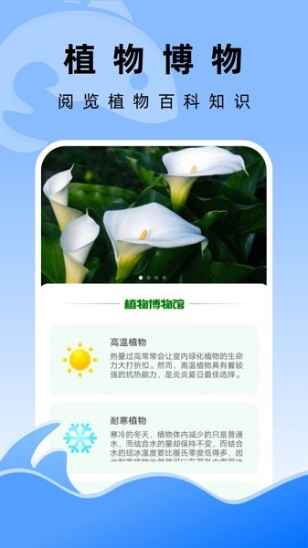 飞鱼文件管家手机版(1)