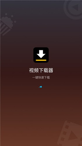 VideoDownloader视频器官方版图1