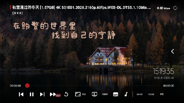 爽看TV安卓直装版图3