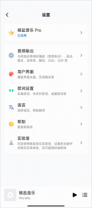 椒盐音乐车机版图3