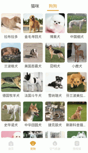 韶光相机图3