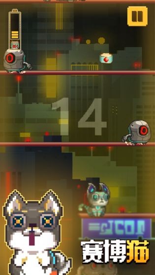 赛博猫图3