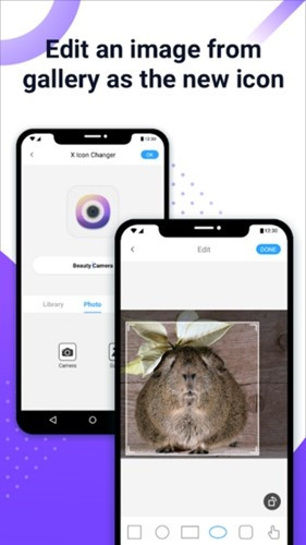 XIconChanger原版图4