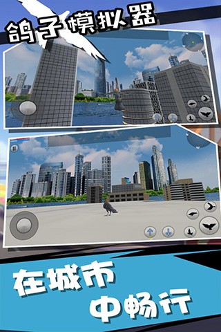 鸽子模拟器2图2