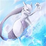口袋妖怪空之花神直装版