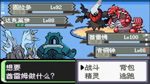 口袋妖怪空之花神直装版