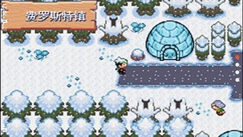 口袋妖怪空之花神直装版