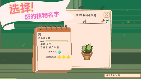 窗口花园免广告版