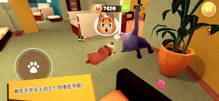 猫咪模拟器3D游戏最新版截图2