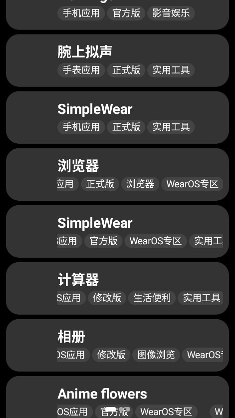 小桃应用商店手表版(4)