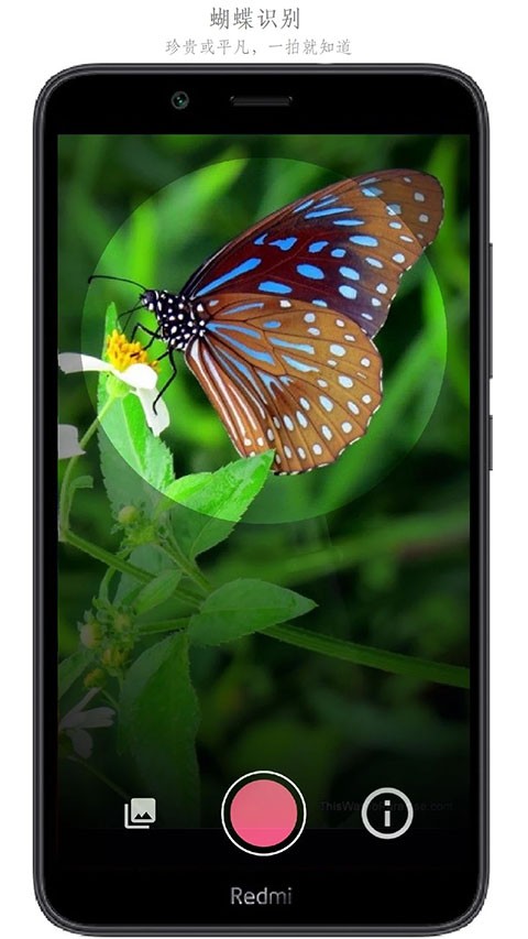 万物志官方正版图1