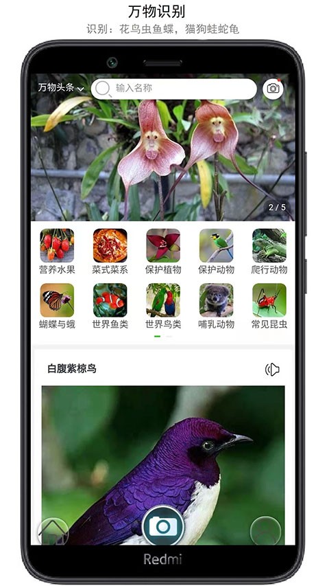 万物志官方正版图4