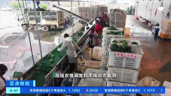 榴芒电视手机免费版图3