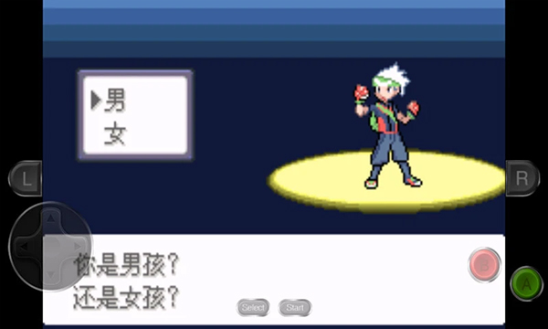 口袋妖怪永恒之沫官方版图2