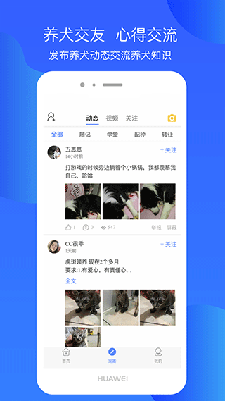 犬卫士(2)