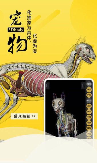 3Dbody解剖安卓版图2