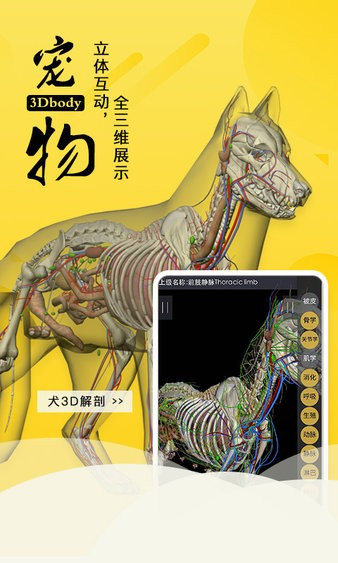 3Dbody解剖安卓版图4