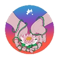犹记繁花本手机版