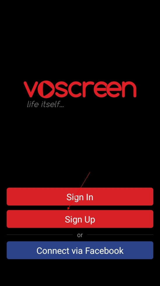 voscreen直装版图3
