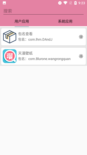 软件包名查看器安卓版图2