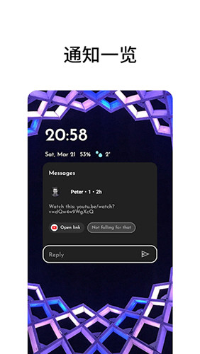 NiagaraLauncher桌面启动器官方版图4
