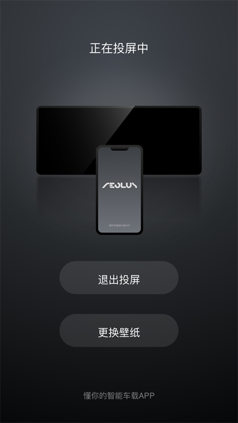 风神车联正版图5