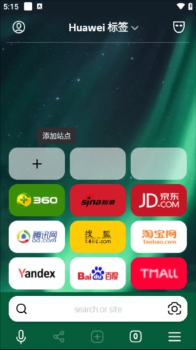俄罗斯引擎浏览器官方版(4)