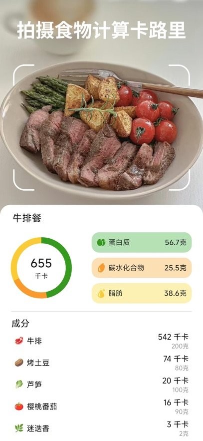 自律茄子软件(4)