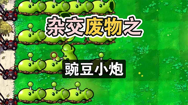 废物大战僵尸版图5