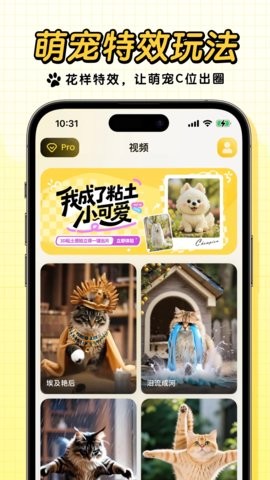 宠玩软件安卓版(4)