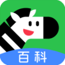 斑马百科安卓官方版