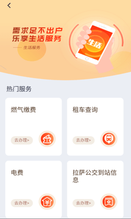 西藏政务(4)