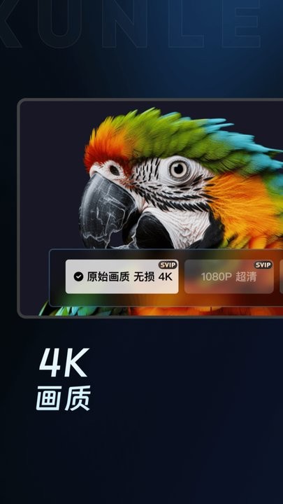 迅雷云盘最新版(4)