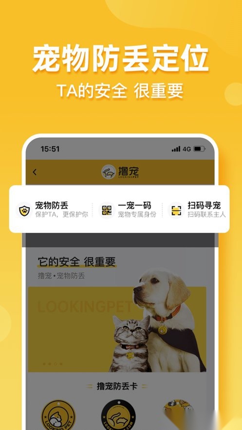 撸宠最新免费版图1